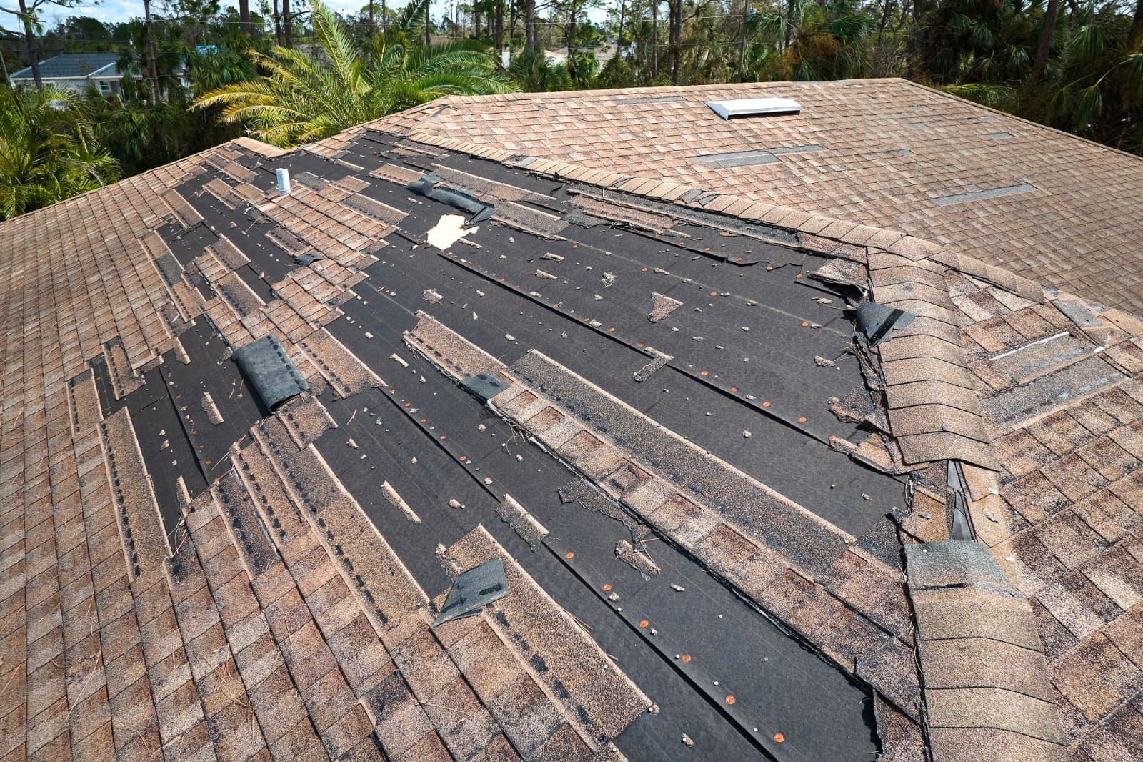 Wind-damaged shingles to help illustrate What Is the Difference Between Metal Roof and Shingles